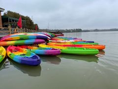 -上海海湾国家森林公园