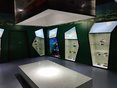 -泗洪洪泽湖湿地景区