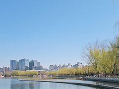 -莲花池公园