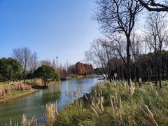 -贡湖湾湿地公园