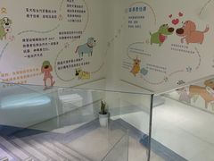 -瑞派申生动物医院·24H夜诊·国际动物医疗中心·骨外科(吴中路店)