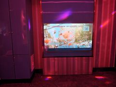 -皓声音KTV(新景店)