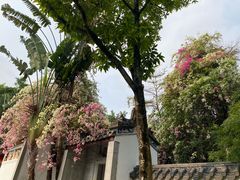 -深圳国际园林花卉博览园