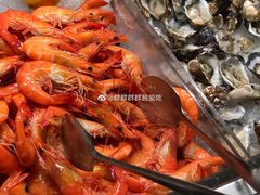 -悉尼塔旋转餐厅