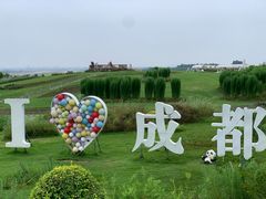 -空港花田景区