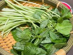 绿苋菜-捞王锅物料理(上海世茂广场店)