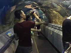 -大连圣亚海洋世界