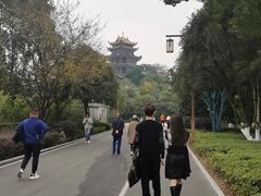 -大龙山(地铁站)