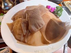 大渝毛肚-大渝火锅(苏州西城永捷店)
