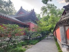 -北京植物园南门售票处