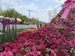 -苏州上方山国家森林公园