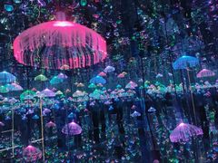 -深圳独角兽星空艺术馆