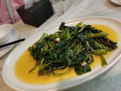 -新概念来凤鱼(璧山店)