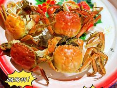 -蟹道河蟹大米商行
