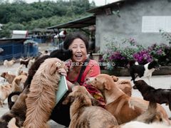 -成都爱之家动物救助中心