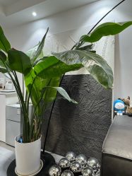 -春田皮肤管理中心品牌旗舰店