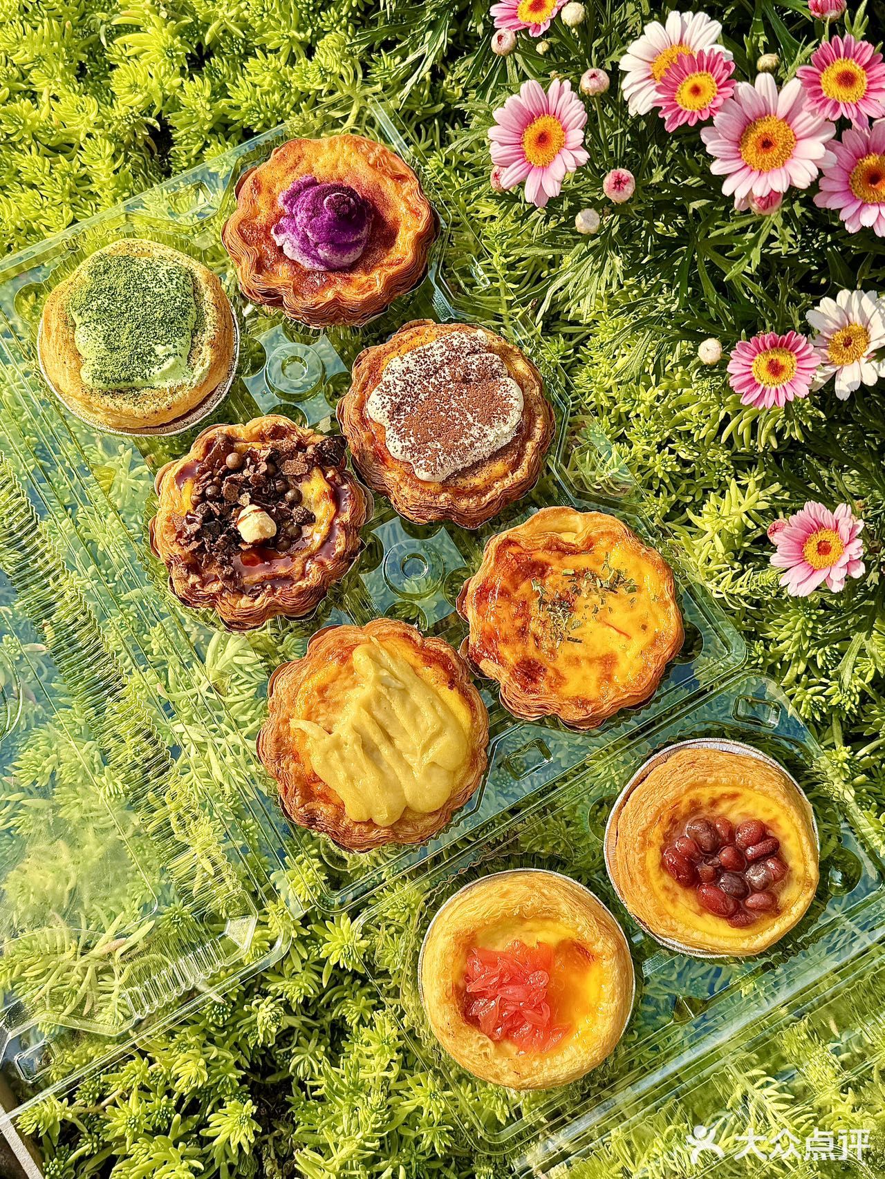 这家蛋挞！！！我过两天要把它带回老家