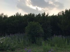 -长春公园(普阳街道)