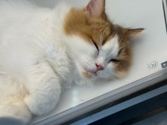 -昆山招商花园城