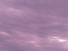 -Caten佳田(港惠店)