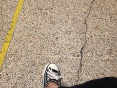 -北京中医药大学东方医院(方庄院区)