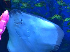 -波塞冬旅游度假区