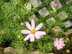 -美家乐农庄·露营·团建(大治路店)