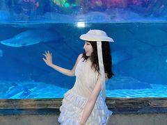 -合肥海洋世界
