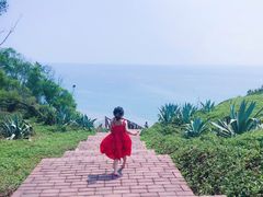 -漳州滨海火山岛自然生态风景区