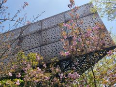 -陈家山荷花公园
