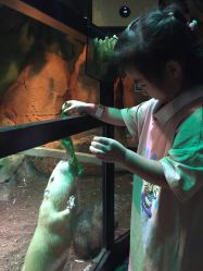 -酷嗒动物文化乐园(cutezoo西溪乐天城店)