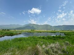 -腾冲北海湿地