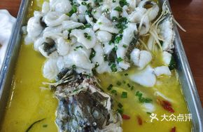 Golden Sauce Guilfish