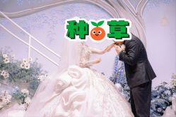 -曼格纳婚礼艺术中心(张江店)