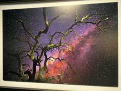 -罗红摄影艺术馆