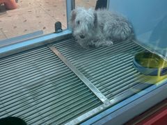 -FAELING PETS美天灵宠物(合生汇店)