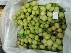 -上海龙吴水胜海发市场