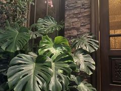 -心足私家足疗SPA(海岸城店)