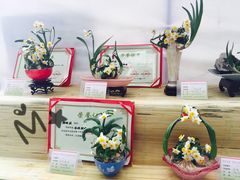 -龙大花卉苗木市场