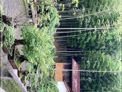 -木子山庄·安徽省老字号·中国炖锅宴