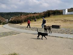 -鹅銮鼻灯塔