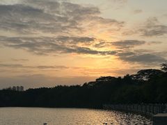 -海珠湖公园