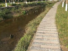 -重庆彩云湖湿地公园