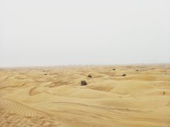 -迪拜沙漠冲沙