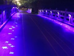 -尚贤河湿地