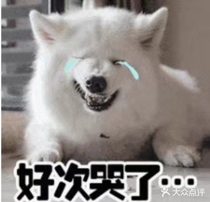 这是 要瘦瘦瘦 下来的节奏