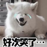 这是 要瘦瘦瘦 下来的节奏