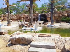 -石家庄市动物园