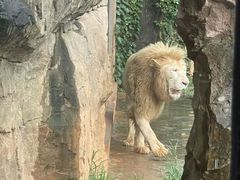 -杭州野生动物世界
