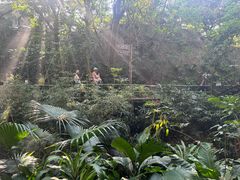 -青青世界